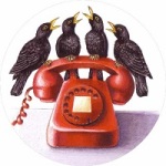 4-calling-birds2
